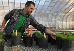 Alec  Kowalewski in a greenhouse working with turf