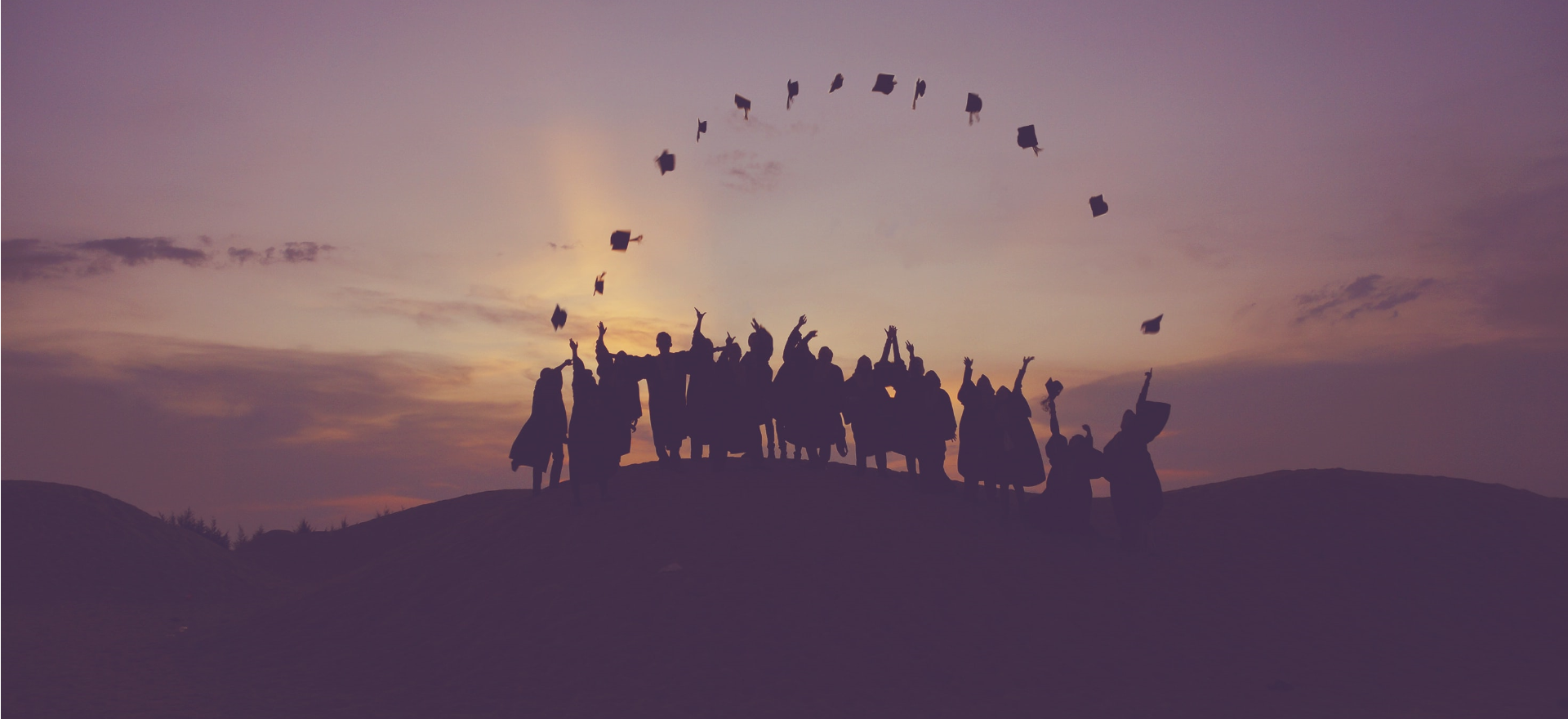 Media gallery banner image