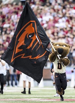 OSU Benny Beaver mascot carrying school flag on football field