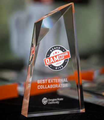 A clear acrylic dammy award.