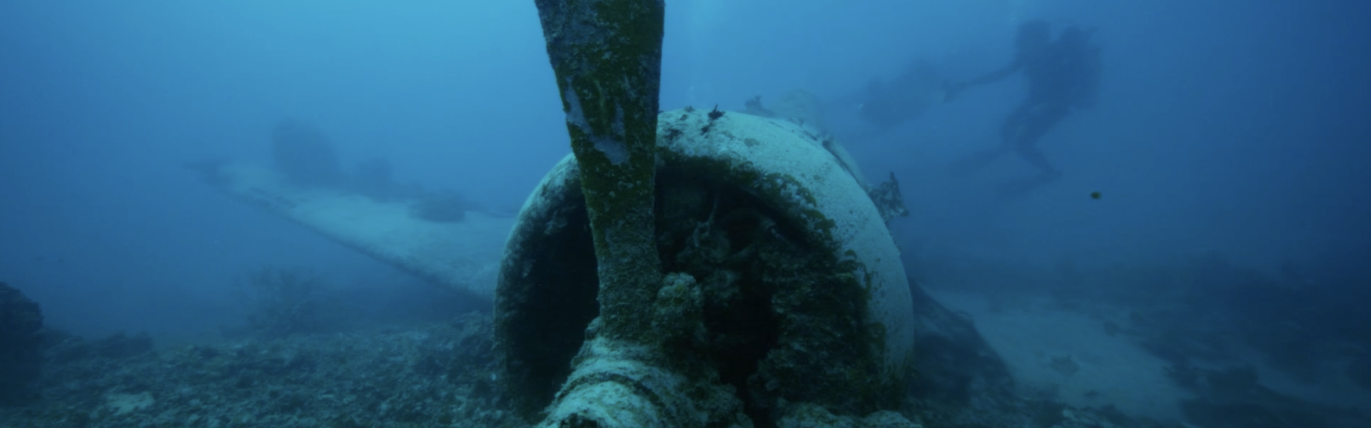 A screenshot from the documentary To What Remains, shot of diver underwater close to an abandoned propeler