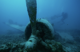 ToWhatRemains_260x170_EventThumbnail A screenshot from the documentary To What Remains, shot of diver underwater close to an abandoned propeler