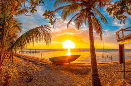 Palm trees and a boat on the beach overlook a sunset