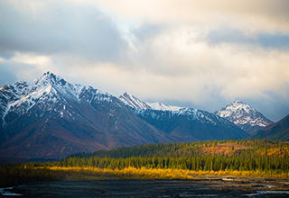 Alaska Mountains with forest next to water