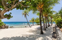 Roatan, Honduras view of the sandy beach with palm trees