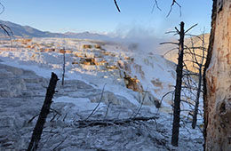 Yellowstone-Thumbnail Yellowstone