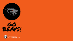 Beaver Flag Zoom Background