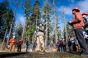A group of people in hard hats gather in a forest, listening to a speaker.
