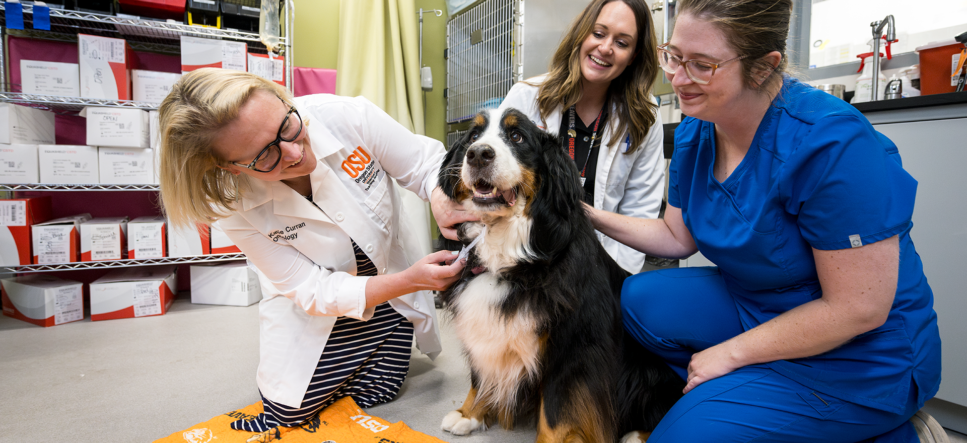 Photo of veterinarians taking care of a dog at the Carlson College of Veterinary Medicine