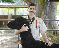 Glen Pfefferkorn And Morris Wendorf Endowed Professor Of Camelid Medicine