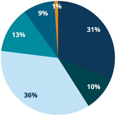 Pie chart percentages of individual donors.