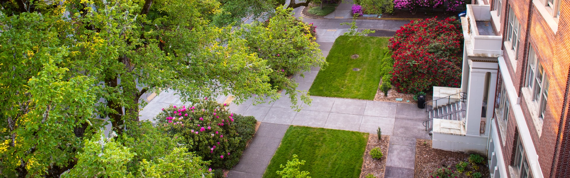 Aerial view of a garden with trees, flowering bushes, grass, and a brick building.
