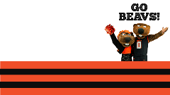 Football Stadium Zoom Background