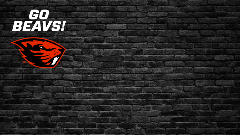 Reser Stadium Zoom Background