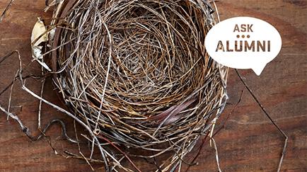 434x243_Empty Nest