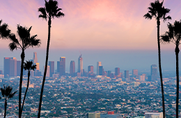 Sitefinity_Thumbnail_260x170_LA