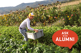 Sitefinity_Thumbnail_260x170_March 4