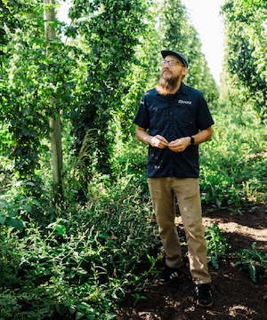 Person standing in a hop field surrounded by tall hop vines and greenery.