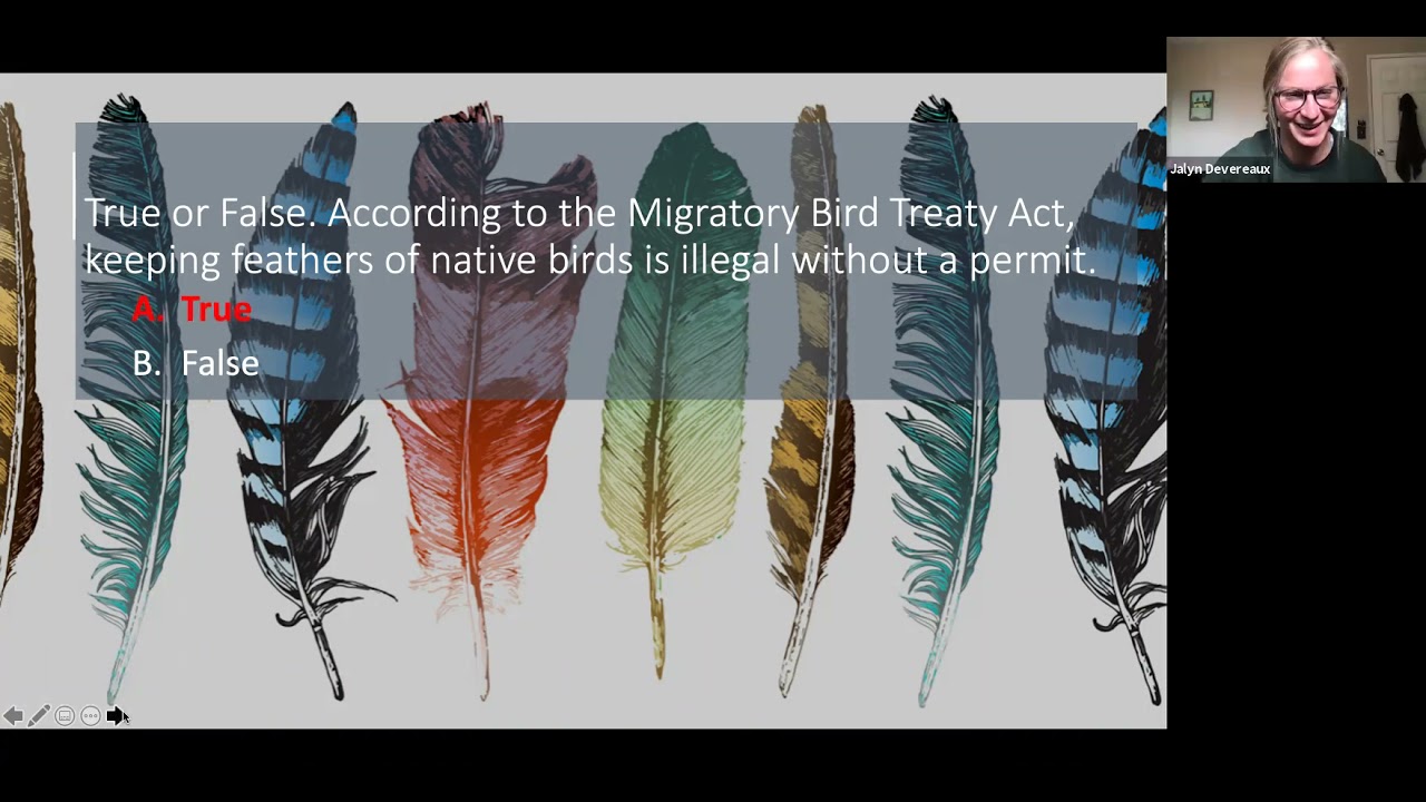 "True or False: According to the Migratory Bird Treaty Act, keeping feathers of native birds is illegal without a permit. A True, B False" text, screenshot from zoom meeting