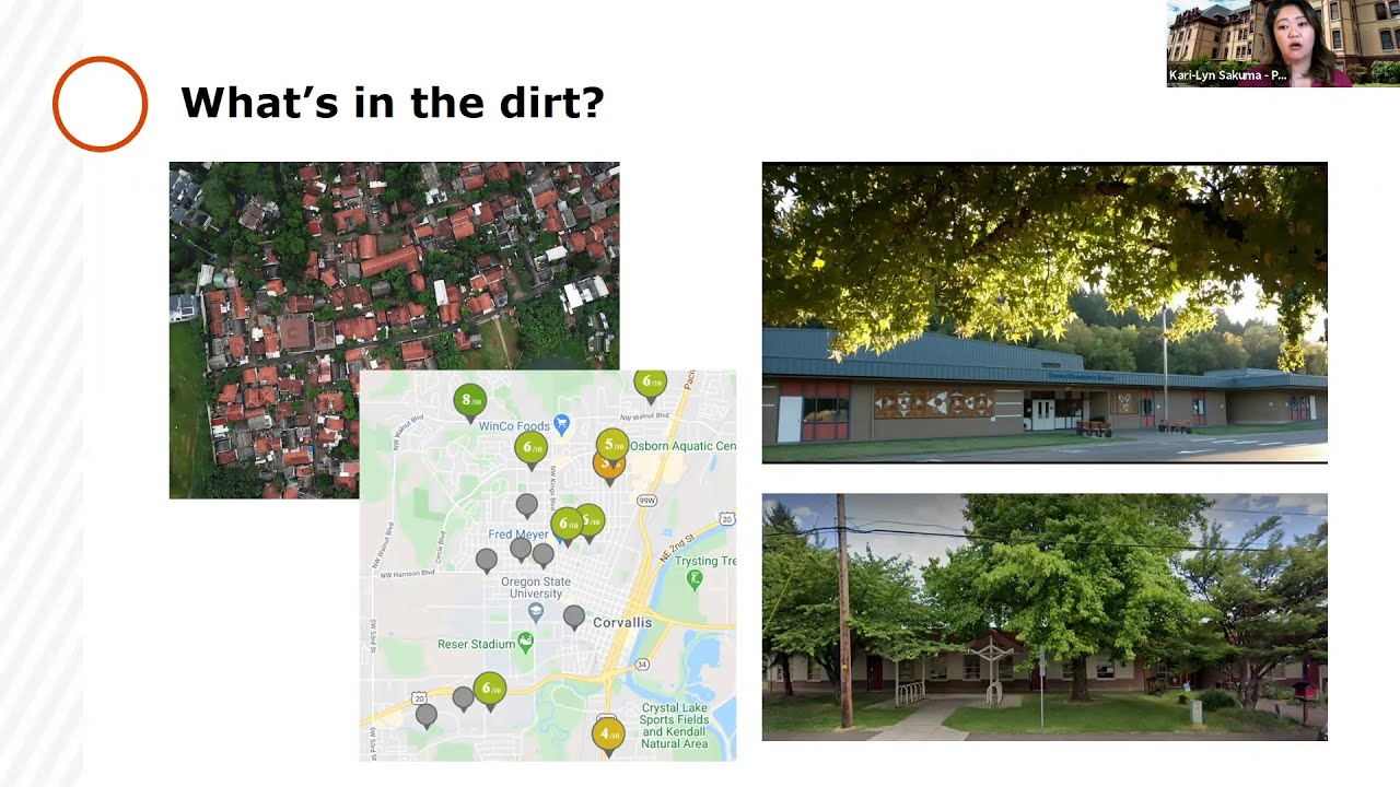 "What's in the dirt?" text in screenshot from a zoom meeting with imagse of google map locations, properties and trees in the city