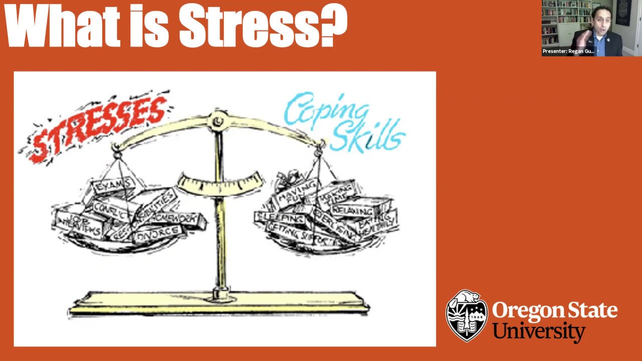 "What is Stress" text with image of scale with one side 'stress' and the other side 'coping skills', screenshot of zoom meeting