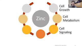 Screen shot of a zoom meeting with Zinc element and going through cell growth, metabolism and signaling